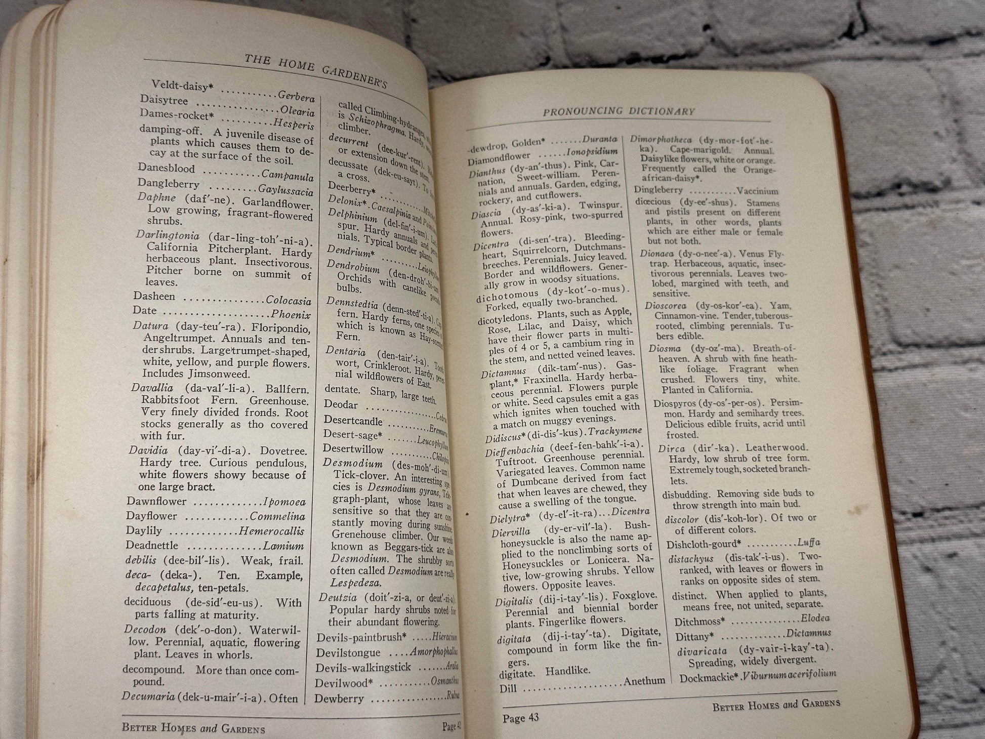 Flipped Pages The Home Gardener's Pronouncing Dictionary for Better Homes & Garden [1931]