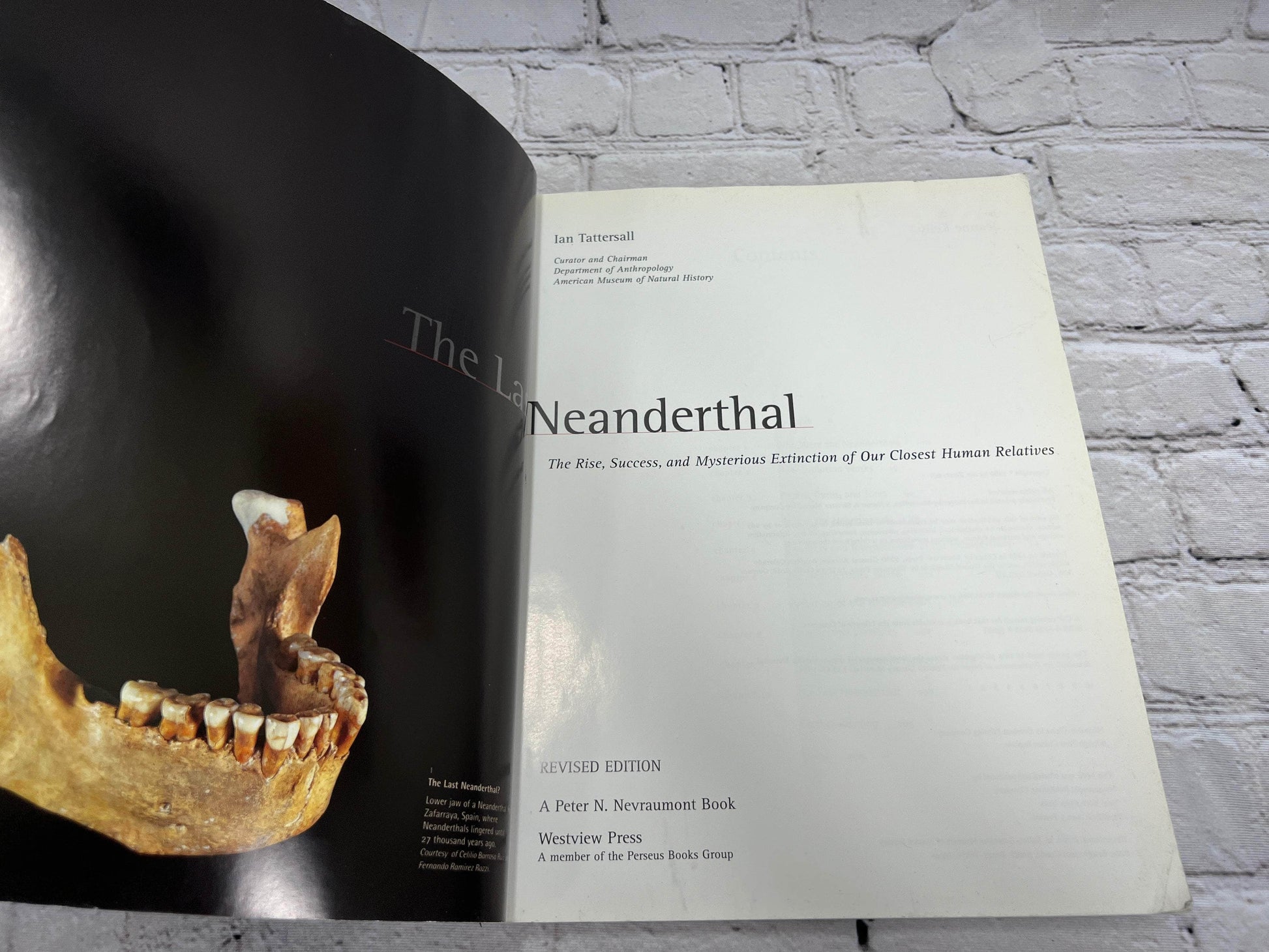 Flipped Pages The Last Neanderthal By Ian Tattersall [Revised Edition · 1999]