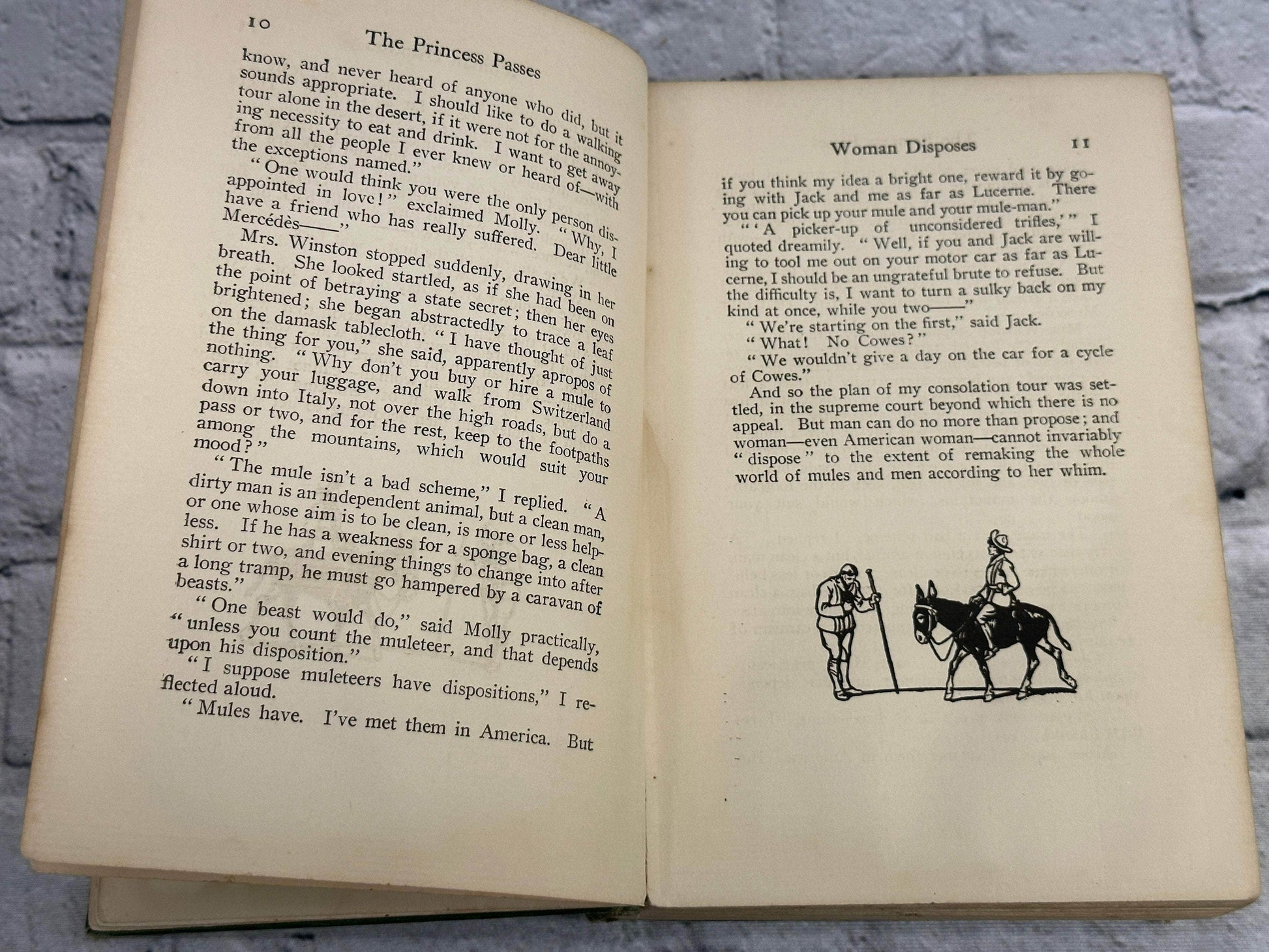 Flipped Pages The Princess Passes by C. N. & A. M. Williamson [1905 · First Edition]