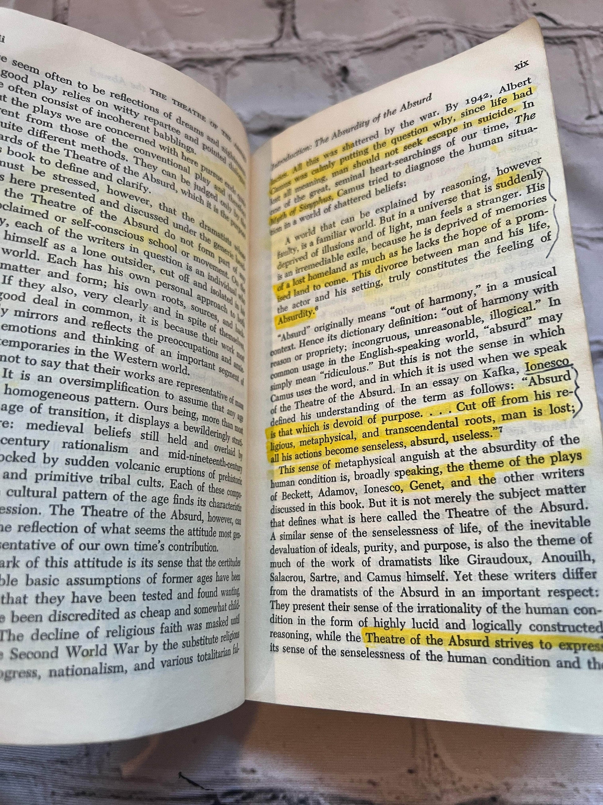 Flipped Pages The Theatre of the Absurd by Martin Esslin [1961 · Achor Books Edition]