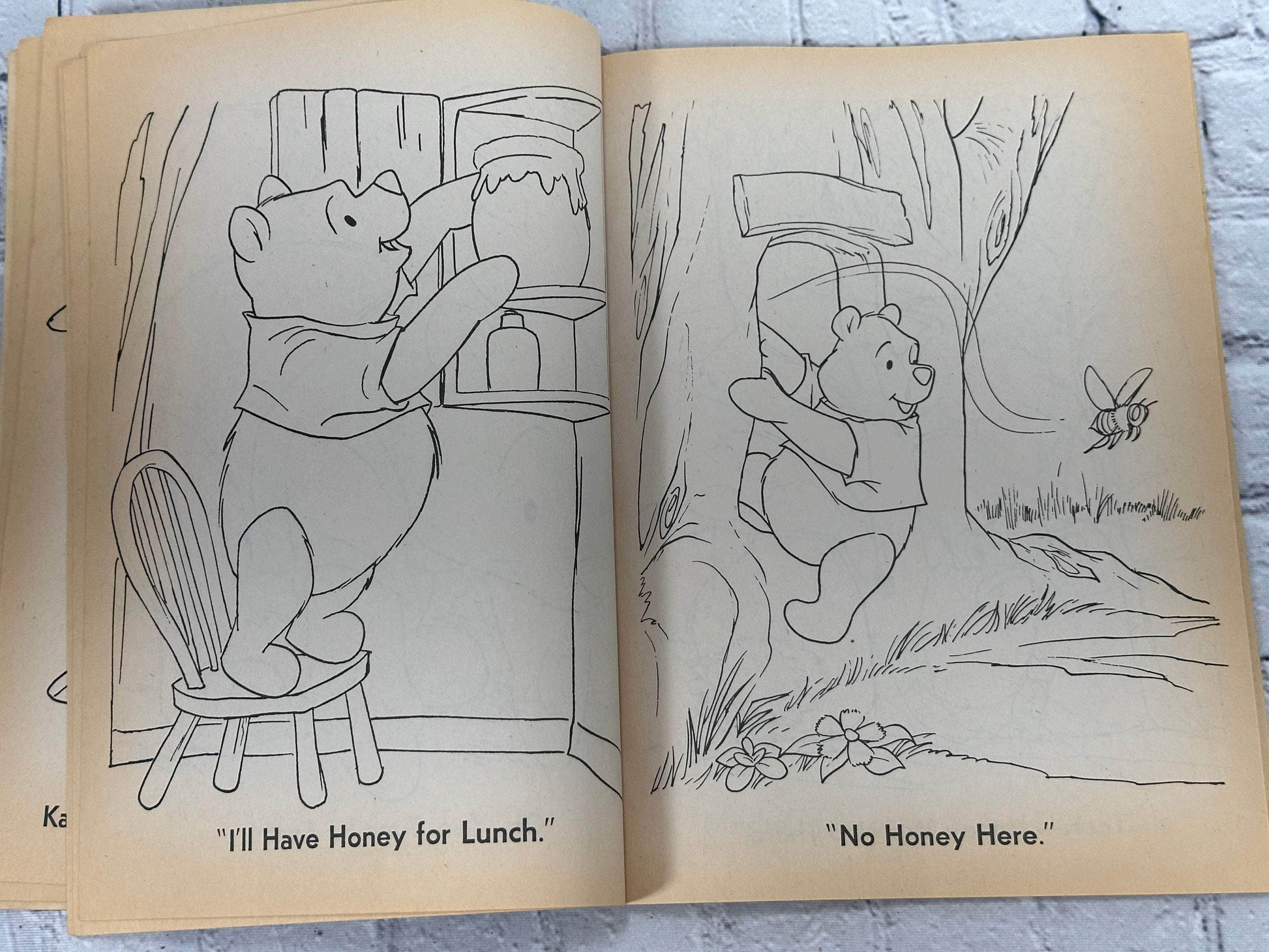 Flipped Pages Winnie the Pooh Coloring Book [Golden Books · #1045-6 · 1976]