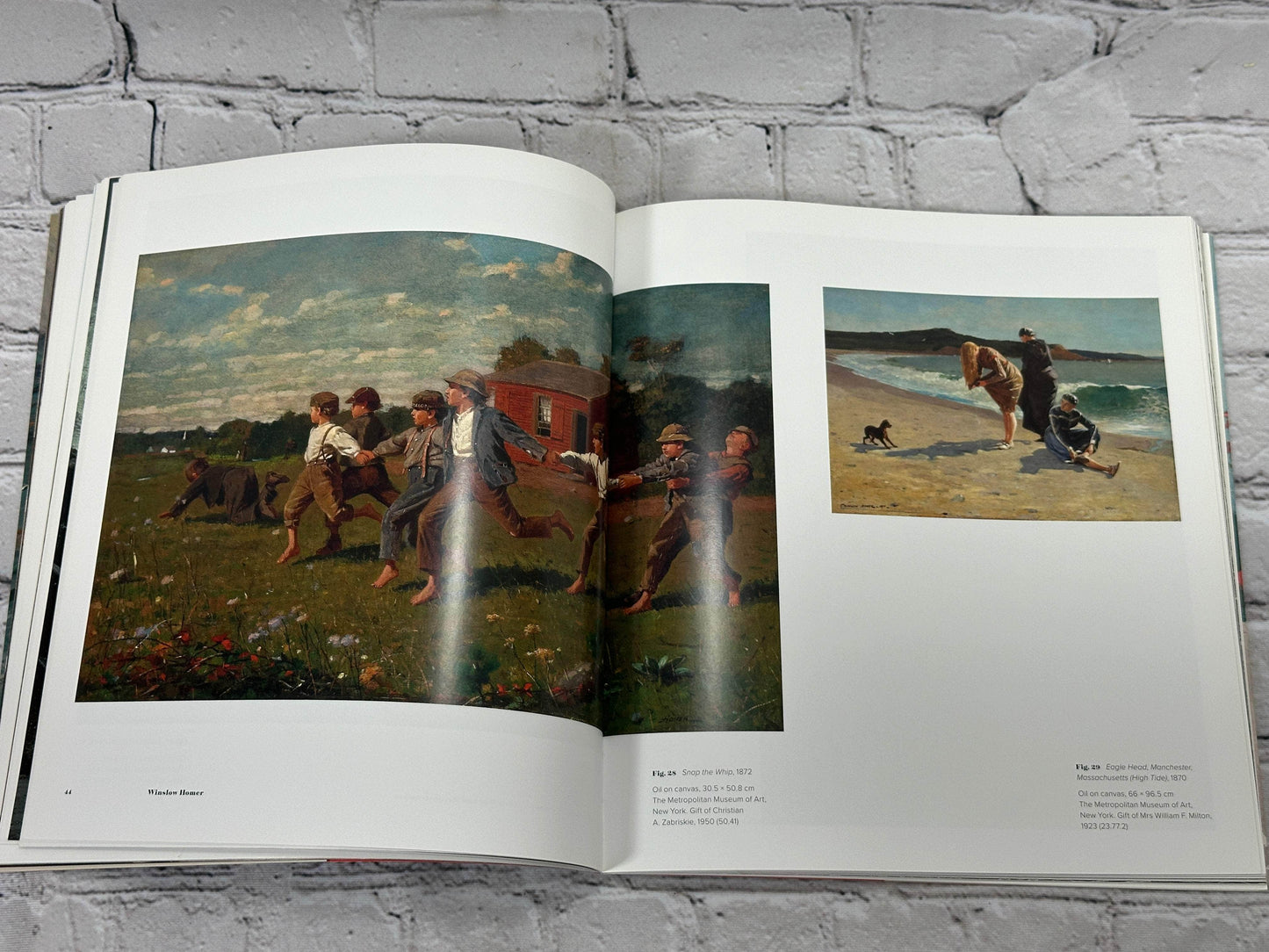 Flipped Pages Winslow Homer: Force of Nature by Riding, Riopelle & Di Stephano [2022]