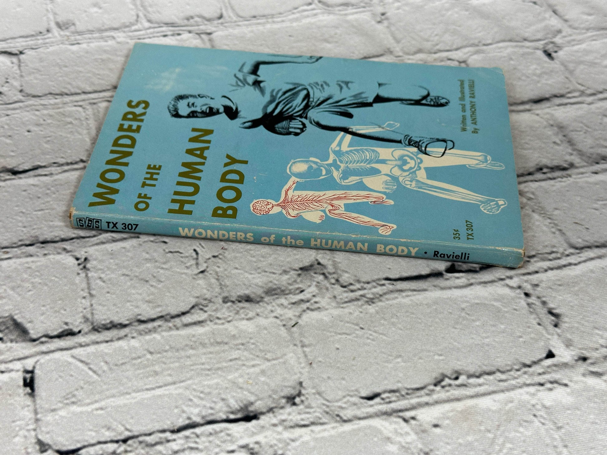 Flipped Pages Wonders Of The Human Body by Anthony Ravielli [1961 · First Printing]