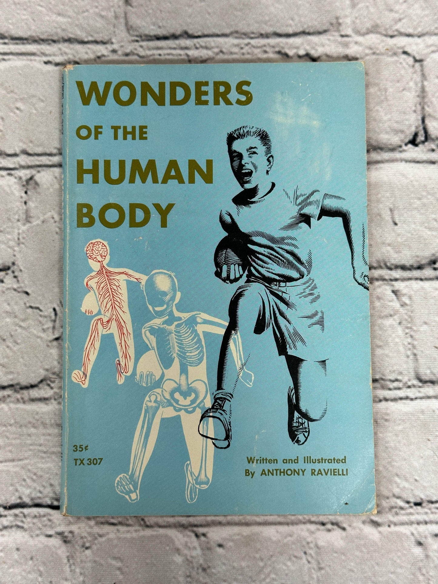 Flipped Pages Wonders Of The Human Body by Anthony Ravielli [1961 · First Printing]