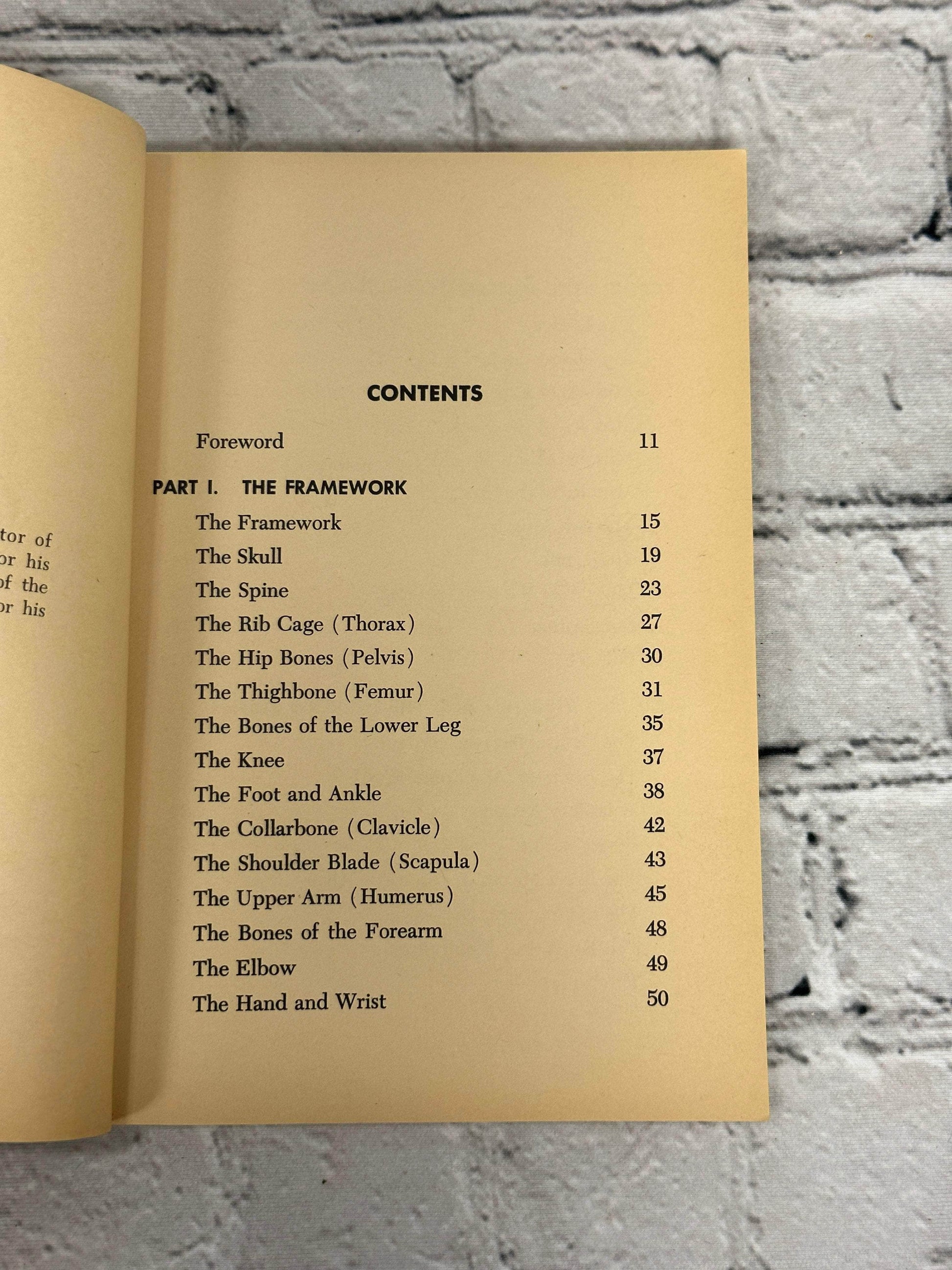 Flipped Pages Wonders Of The Human Body by Anthony Ravielli [1961 · First Printing]