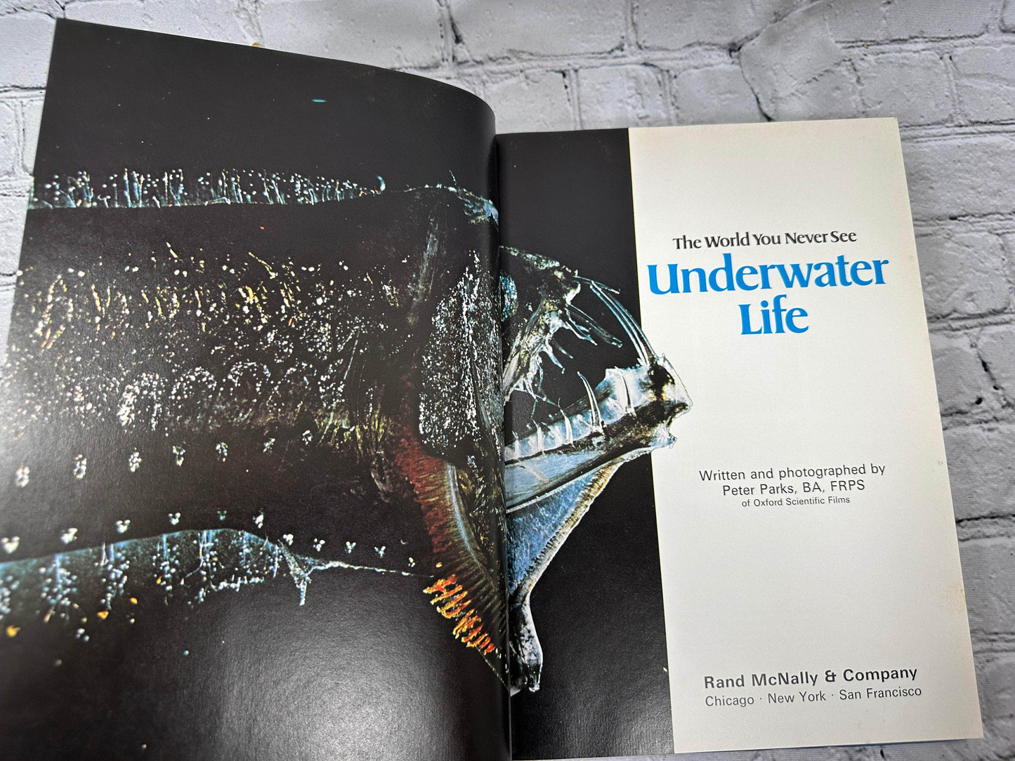 Flipped Pages World You Never See Underwater Life by Parks, Peter. Book [1976]