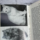 Flipped Pages Your Cat by Ann L. Stubbs [1964 · First Edition]