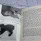 Flipped Pages Your Cat by Ann L. Stubbs [1964 · First Edition]