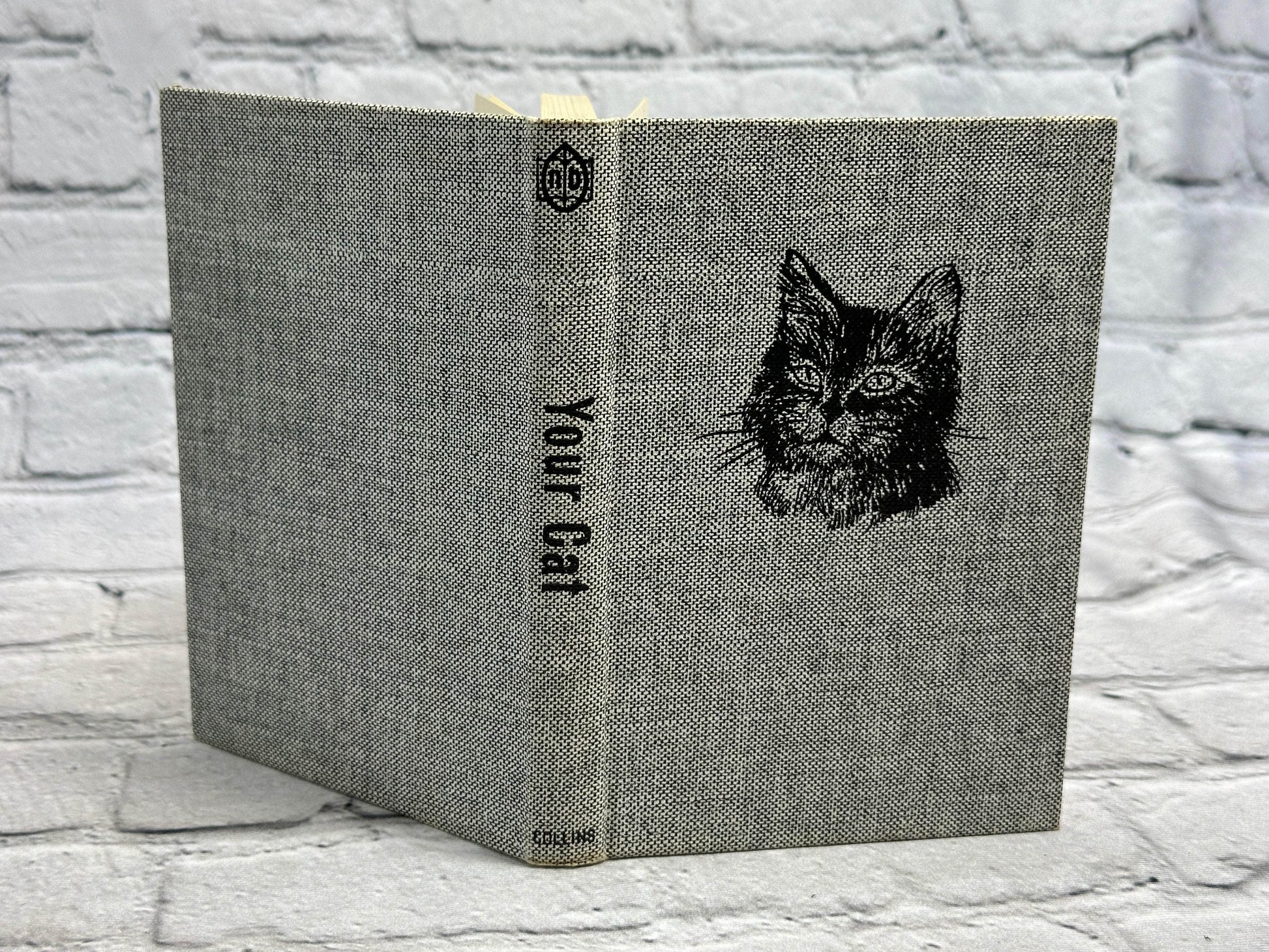 Flipped Pages Your Cat by Ann L. Stubbs [1964 · First Edition]