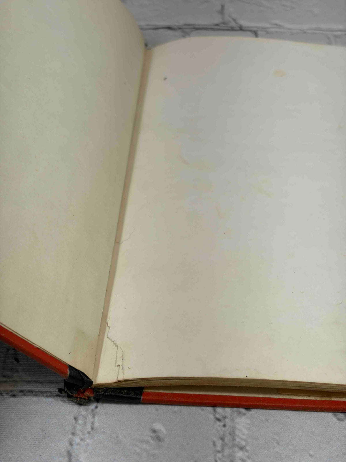 Frisky at the Fair by Nancy Raymond, 1955 The Fideler Company hardcover - torn front free endpaper at gutter