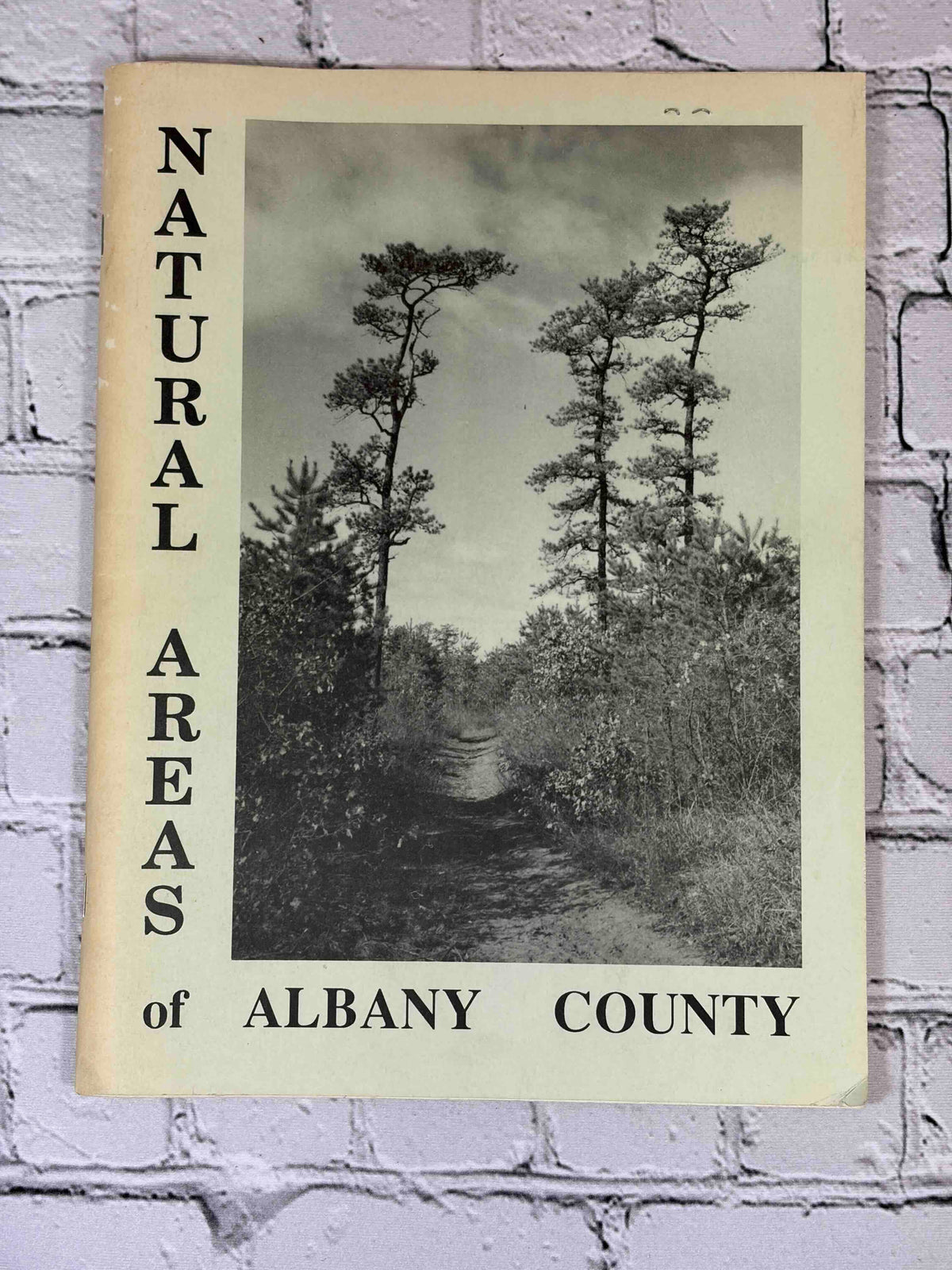 Natural Areas of Albany County by Claire K. Schmitt, 1991 The Environmental Clearinghouse of Schenectady paperback - front cover