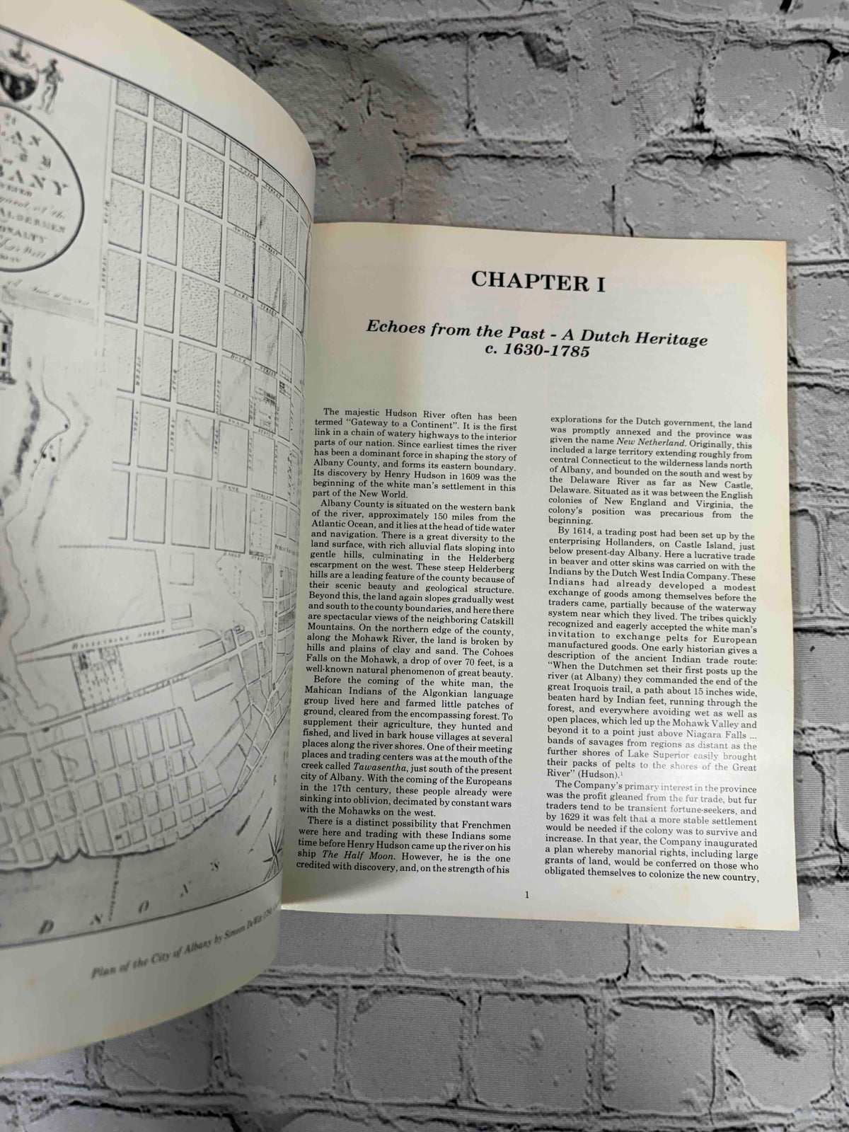 The People's Choice by Allison P. Bennett, 1980 Albany County Historical Association paperback - Chapter I opening with map of Albany