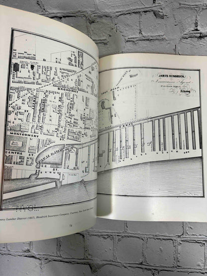 The People's Choice by Allison P. Bennett, 1980 Albany County Historical Association paperback - Albany Lumber District map (pp. 74-75)