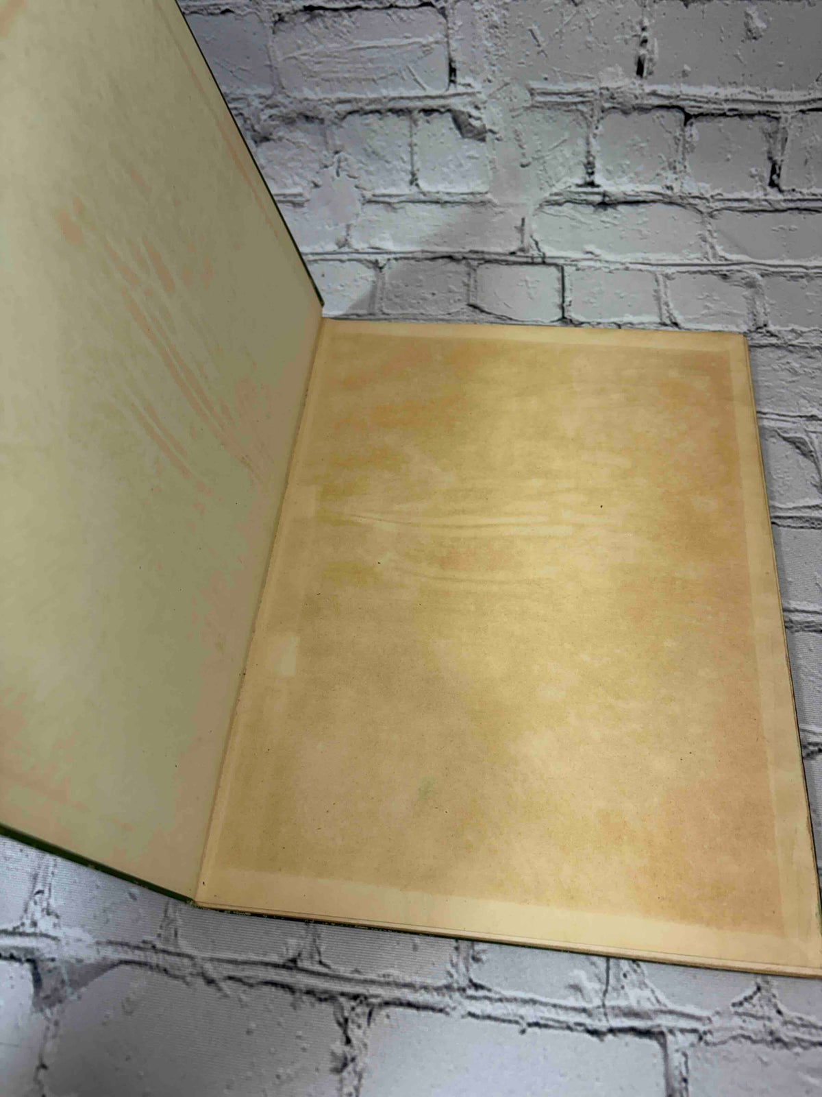 Nature Drawing and Design by Frank Steeley, G. W. Bacon & Co. hardcover - front pastedown and free endpaper