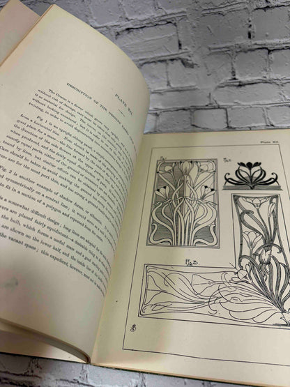 Nature Drawing and Design by Frank Steeley, G. W. Bacon & Co. hardcover - Plate XII crocus designs with description