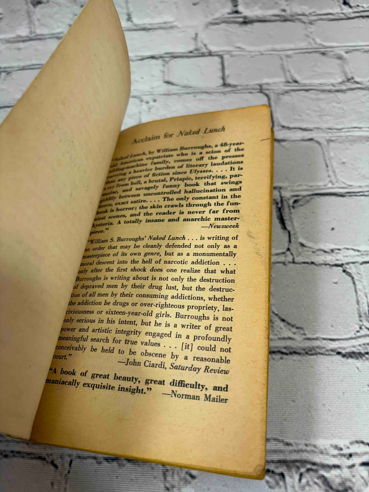 Naked Lunch by William S. Burroughs, 1966 Grove Press paperback - Acclaim for Naked Lunch page