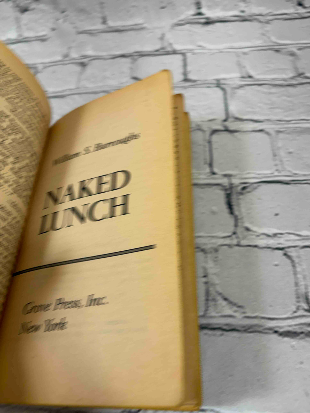Naked Lunch by William S. Burroughs, 1966 Grove Press paperback - title page