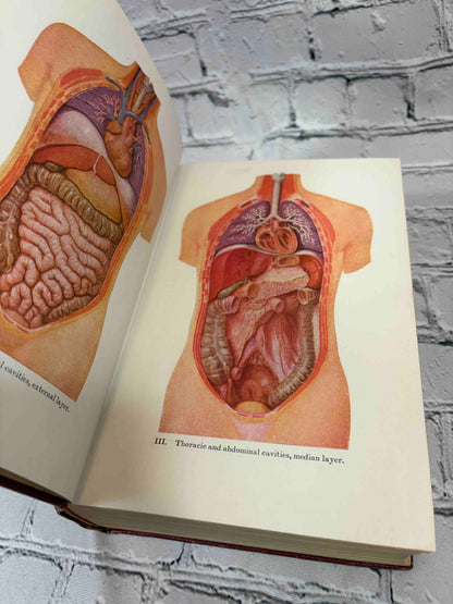 Modern Home Medical Adviser by Morris Fishbein, 1942 Doubleday, Doran & Company hardcover - color anatomical plates II-III