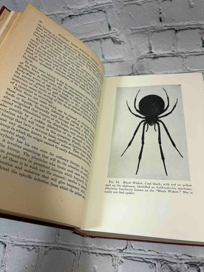 Modern Home Medical Adviser by Morris Fishbein, 1942 Doubleday, Doran & Company hardcover - Fig. 12 black widow plate