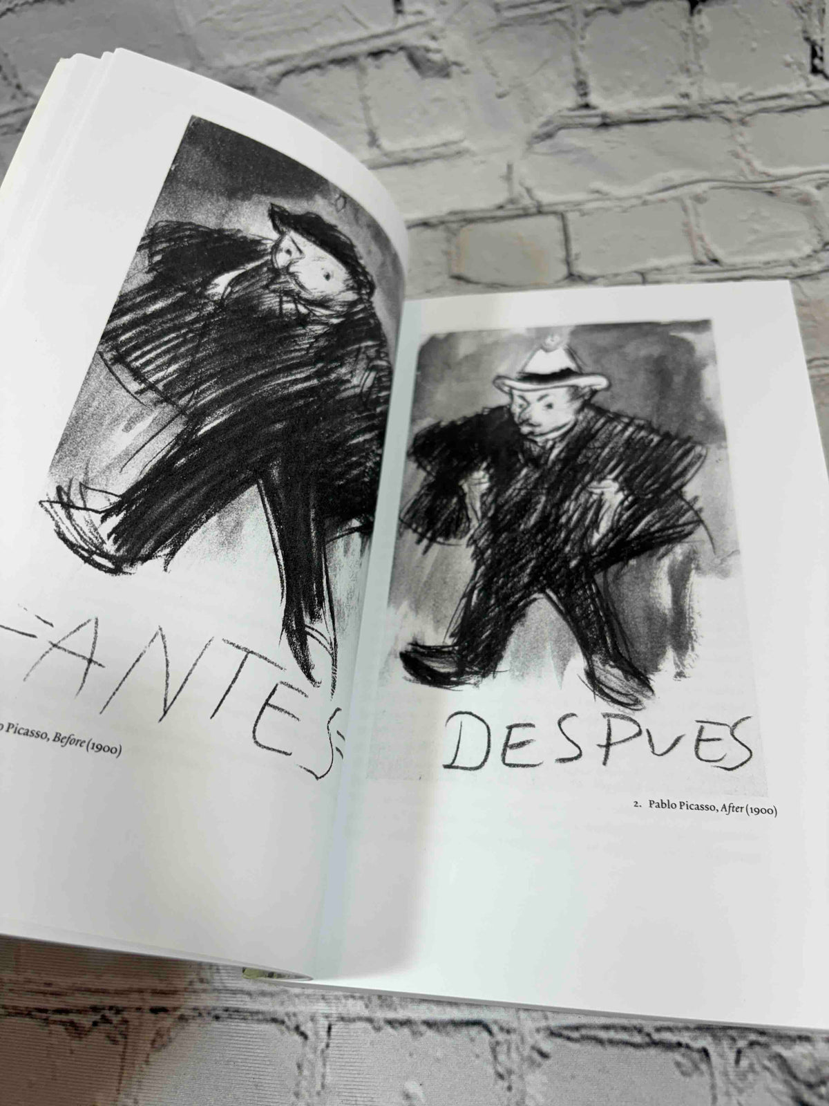 The Cambridge Companion to Modern Spanish Culture by David T. Gies, 2005 Cambridge University Press paperback - Picasso illustrations Before and After