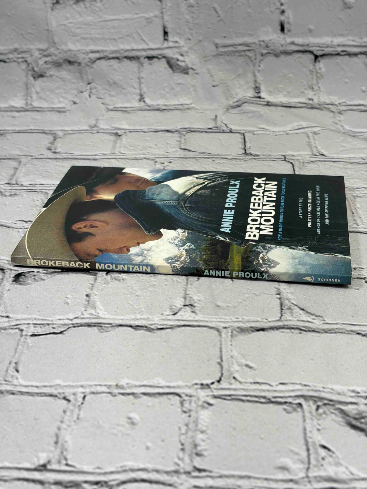 Brokeback Mountain by Annie Proulx, 2005 Scribner paperback - spine