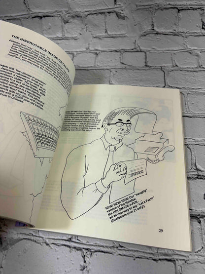The Way of the Urban Samurai by Kasumi, 1992 Charles E. Tuttle Company paperback - illustrated interior page