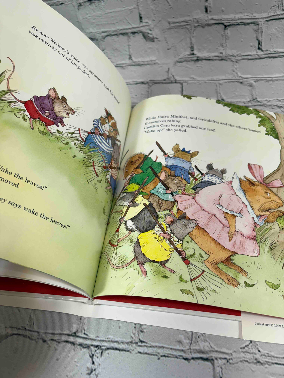 Hooway for Wodney Wat by Helen Lester, 1999 Houghton Mifflin hardcover - interior illustration spread