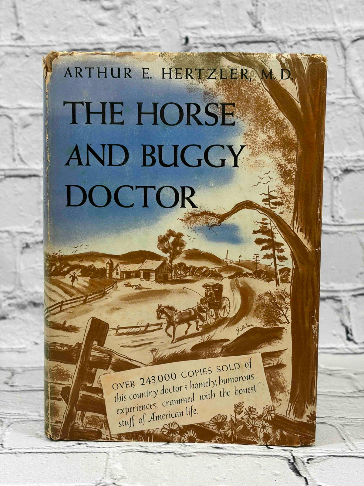 The Horse and Buggy Doctor by Arthur E. Hertzler, 1941 Blue Ribbon Books hardcover - front of dust jacket