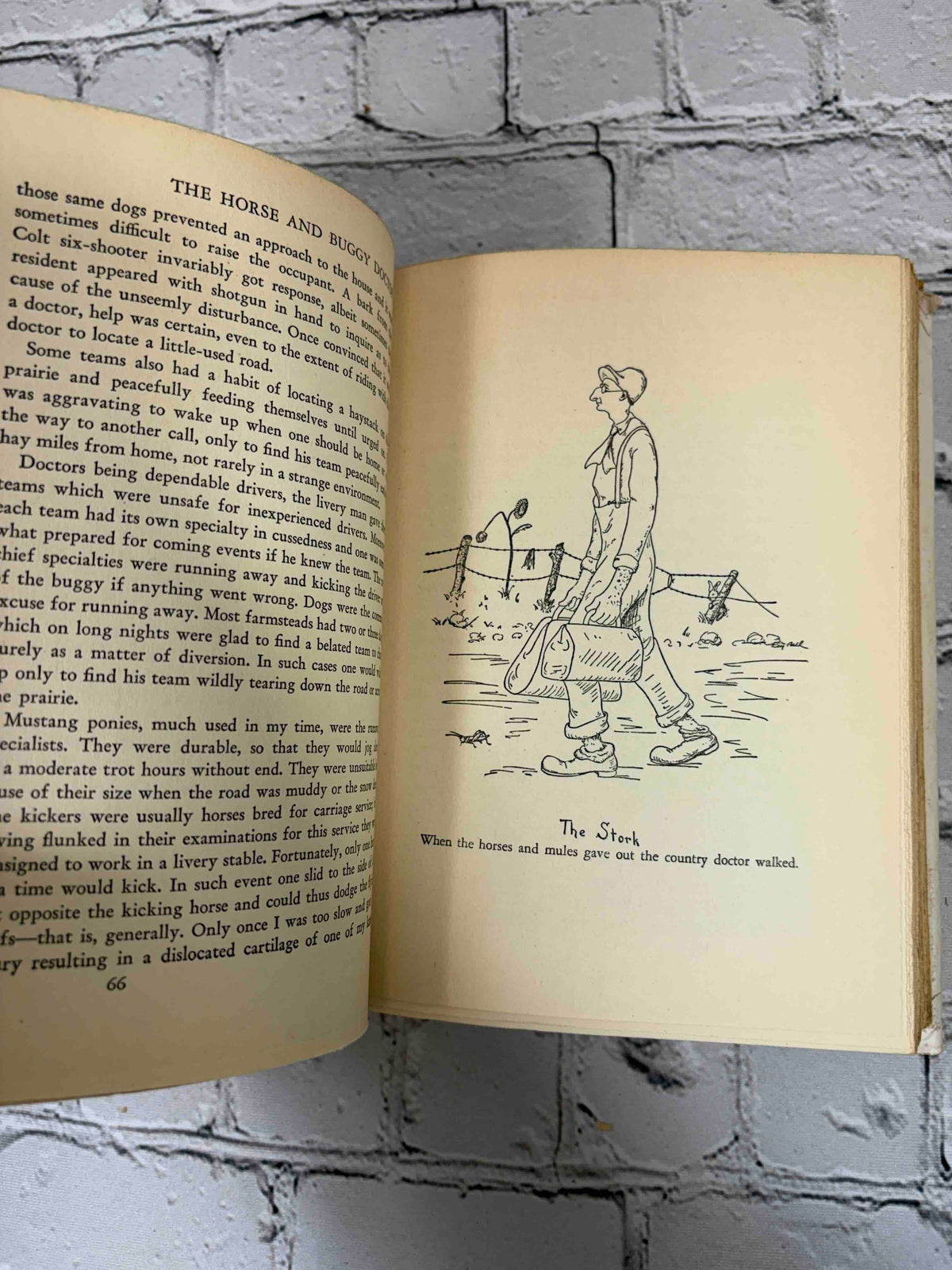 The Horse and Buggy Doctor by Arthur E. Hertzler, 1941 Blue Ribbon Books hardcover - page 66 and The Stork illustration