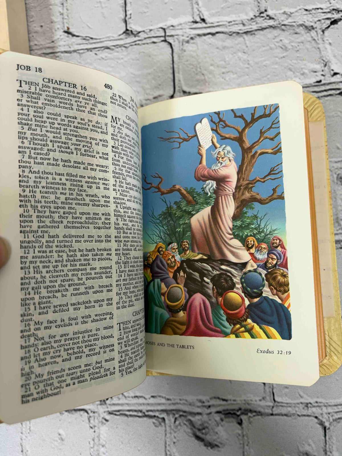 Holy Bible Illustrated (World Young Folks' Text No. 606), The World Publishing Company hardcover - color plate, Moses and the Tablets