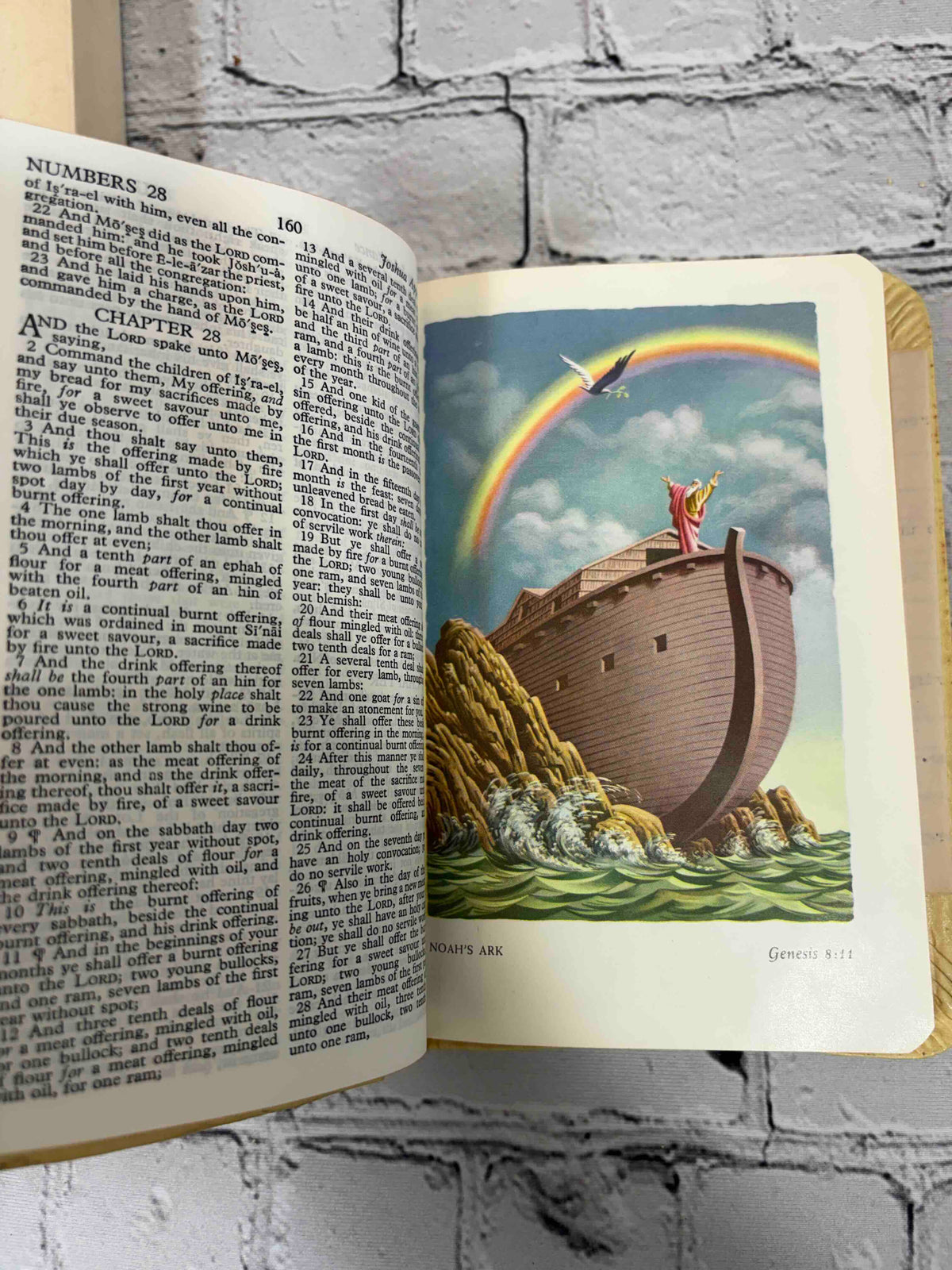 Holy Bible Illustrated (World Young Folks' Text No. 606), The World Publishing Company hardcover - color plate, Noah's Ark