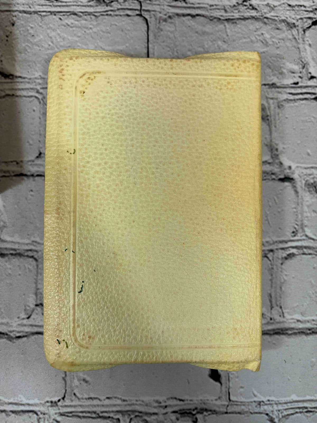 Holy Bible Illustrated (World Young Folks' Text No. 606), The World Publishing Company hardcover - rear cover