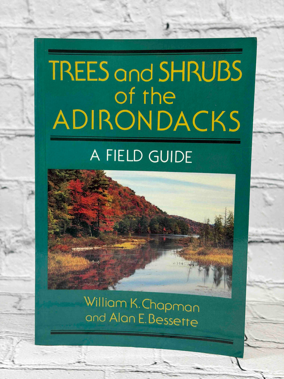Trees and Shrubs of the Adirondacks by William K. Chapman, 1990 North Country Books paperback - front cover
