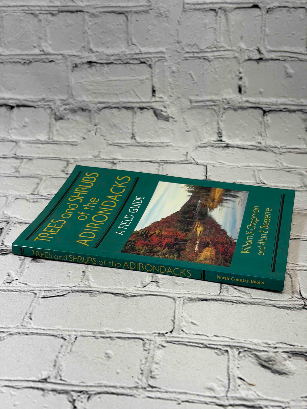 Trees and Shrubs of the Adirondacks by William K. Chapman, 1990 North Country Books paperback - spine