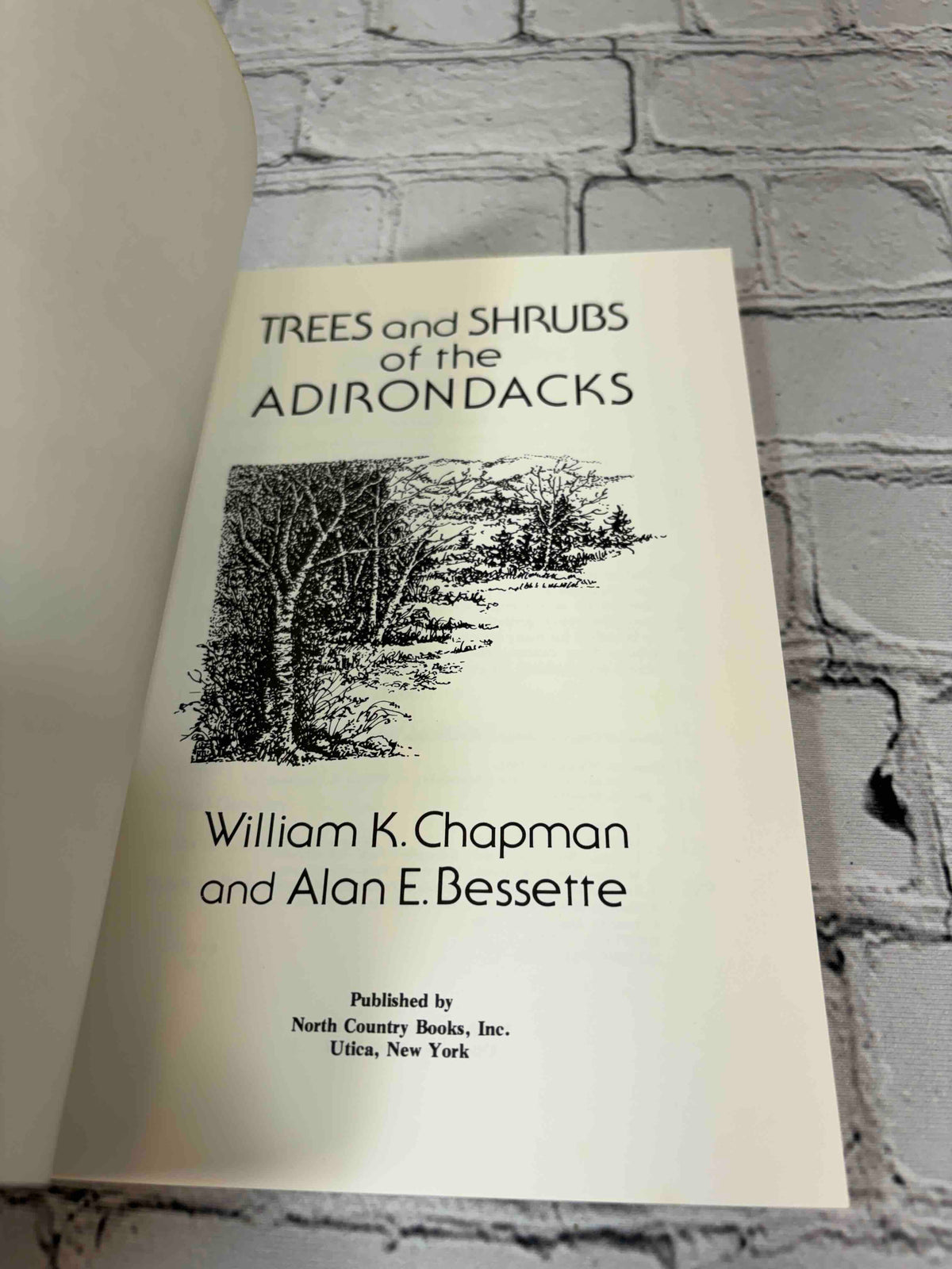 Trees and Shrubs of the Adirondacks by William K. Chapman, 1990 North Country Books paperback - title page