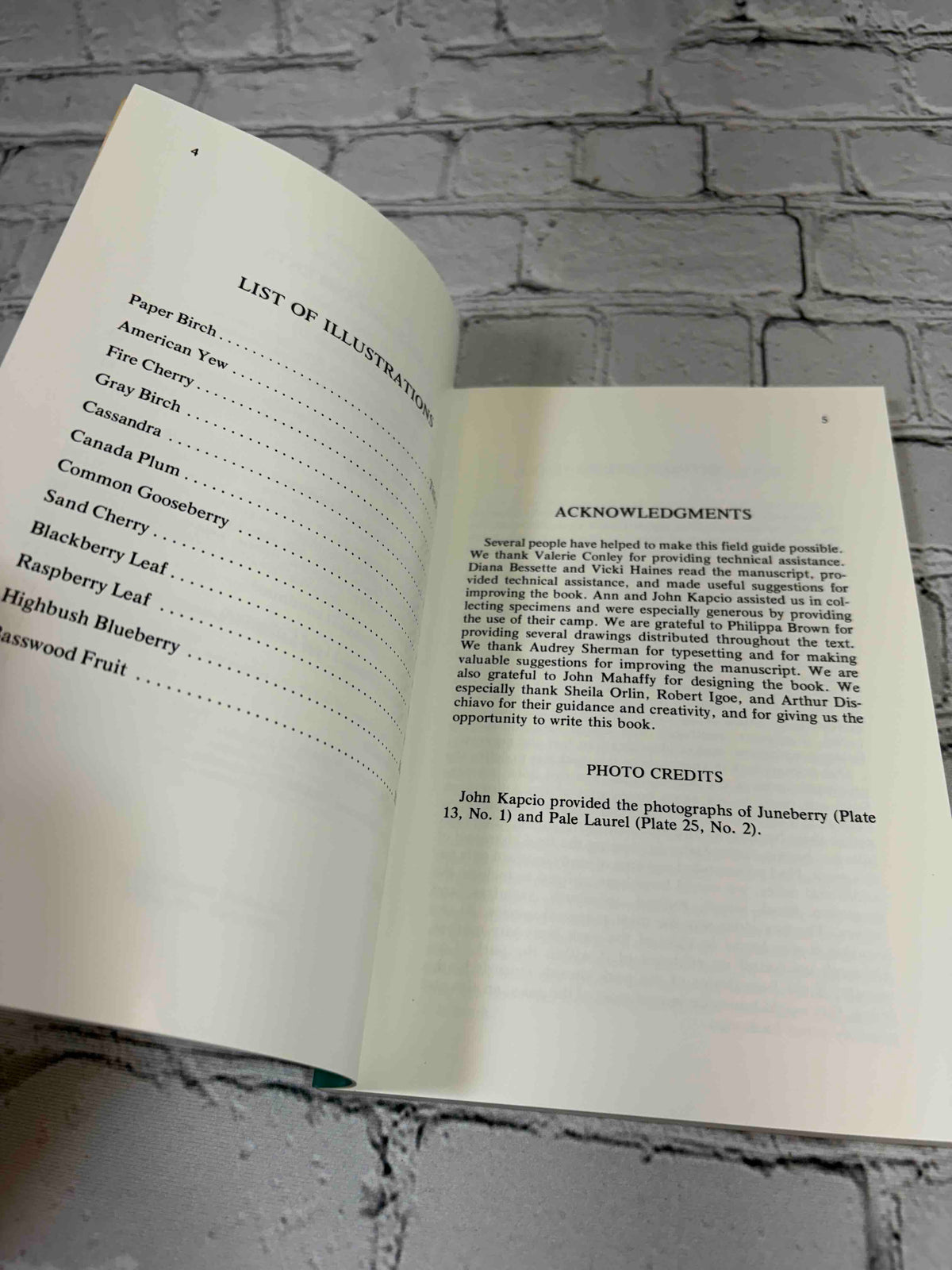 Trees and Shrubs of the Adirondacks by William K. Chapman, 1990 North Country Books paperback - list of illustrations and acknowledgments