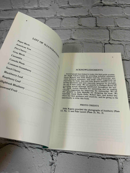 Trees and Shrubs of the Adirondacks by William K. Chapman, 1990 North Country Books paperback - list of illustrations and acknowledgments