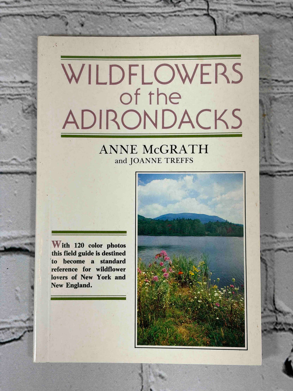 Wildflowers of the Adirondacks by Anne McGrath, 1990 North Country Books paperback - front cover