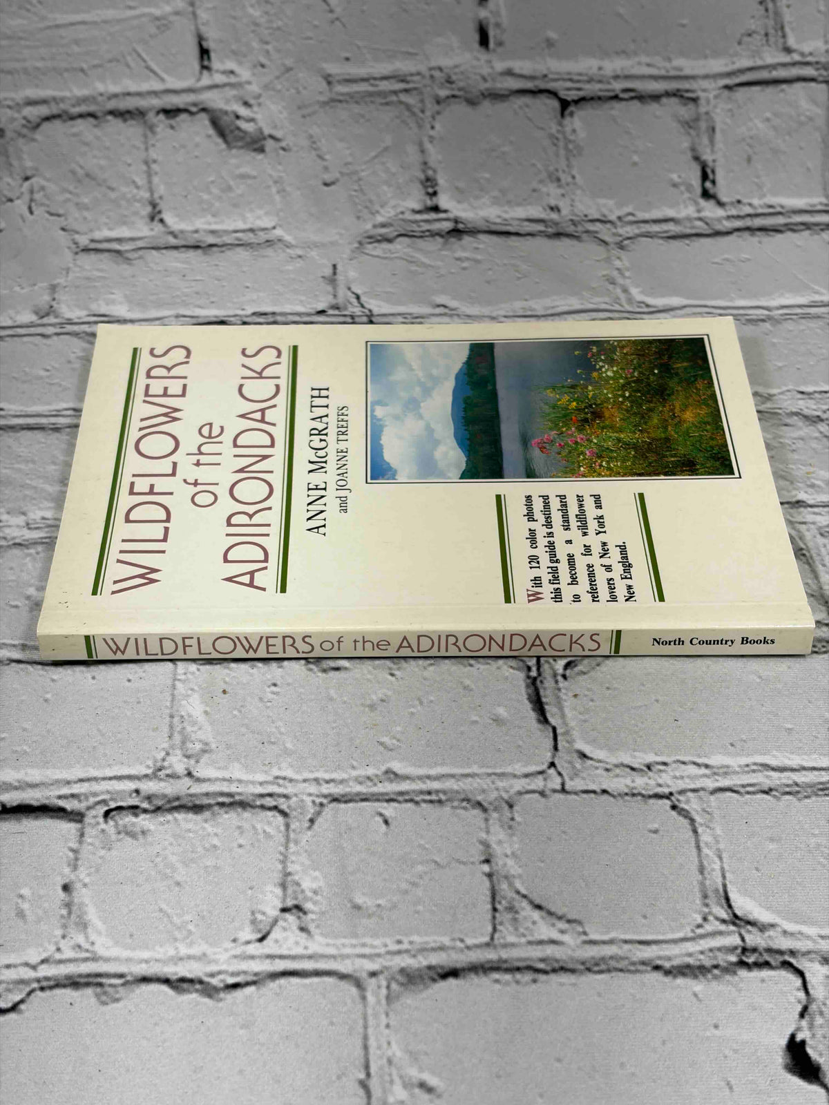 Wildflowers of the Adirondacks by Anne McGrath, 1990 North Country Books paperback - spine
