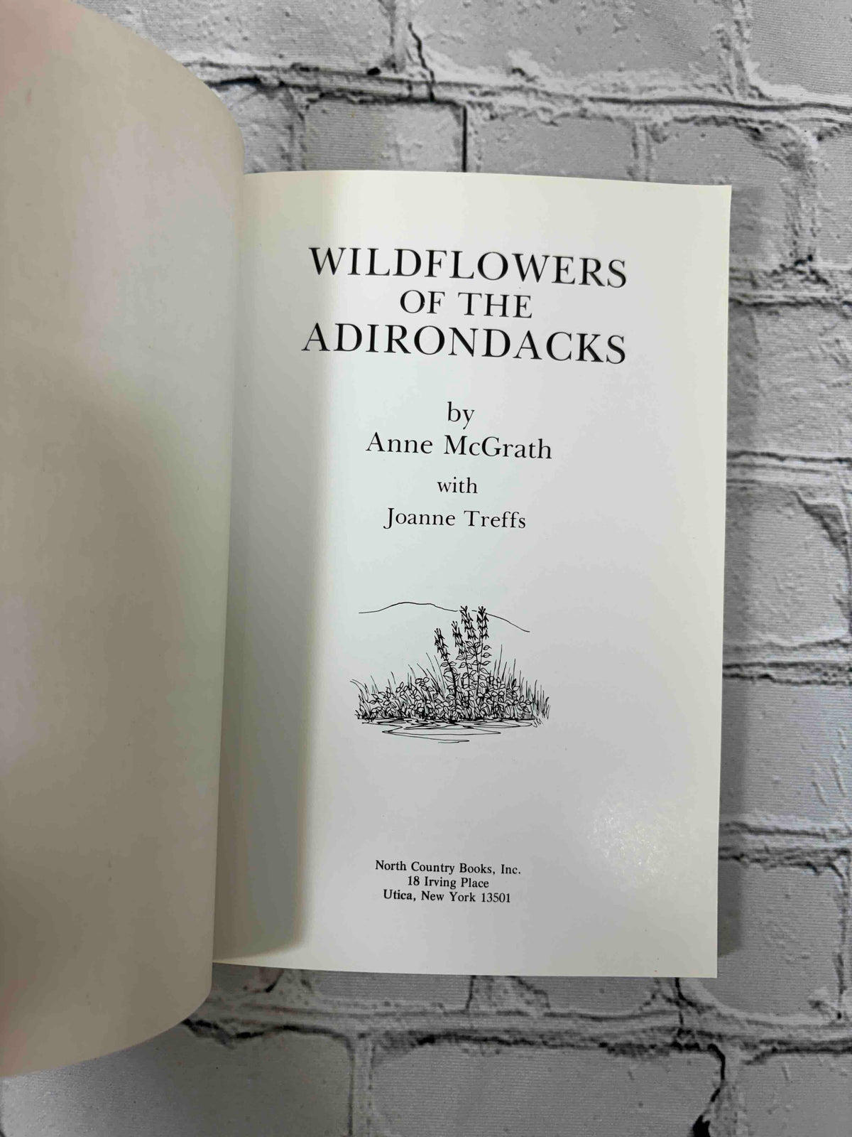 Wildflowers of the Adirondacks by Anne McGrath, 1990 North Country Books paperback - title page