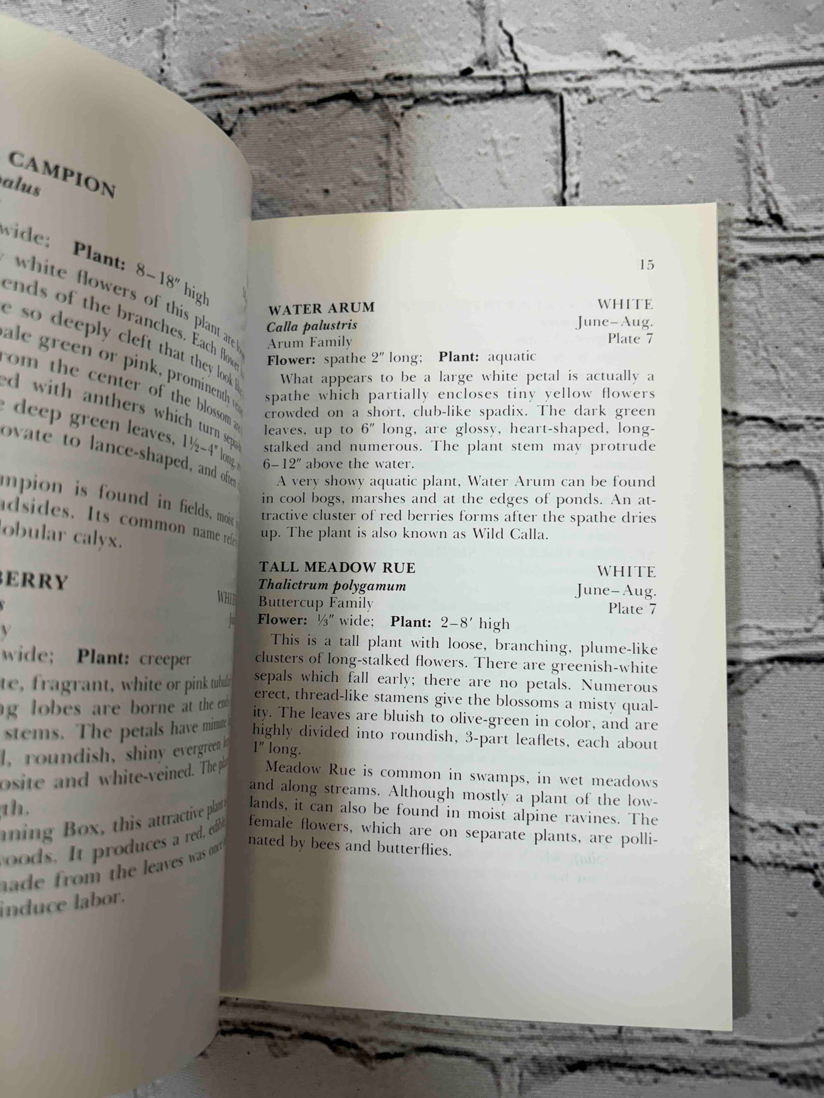 Wildflowers of the Adirondacks by Anne McGrath, 1990 North Country Books paperback - flower description pages