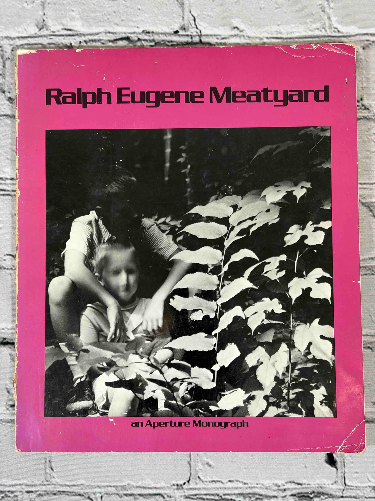 Ralph Eugene Meatyard: An Aperture Monograph, 1974 Aperture paperback - front cover