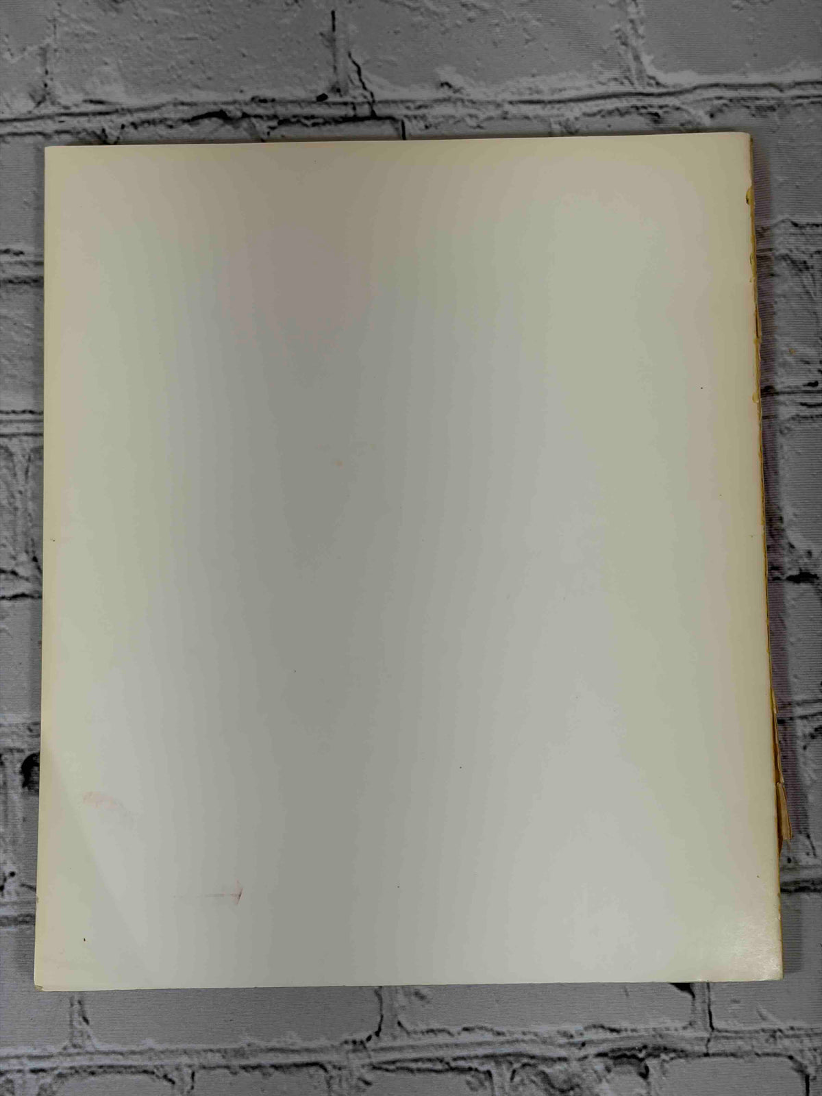 Ralph Eugene Meatyard: An Aperture Monograph, 1974 Aperture paperback - rear of book, back cover missing, last leaf exposed