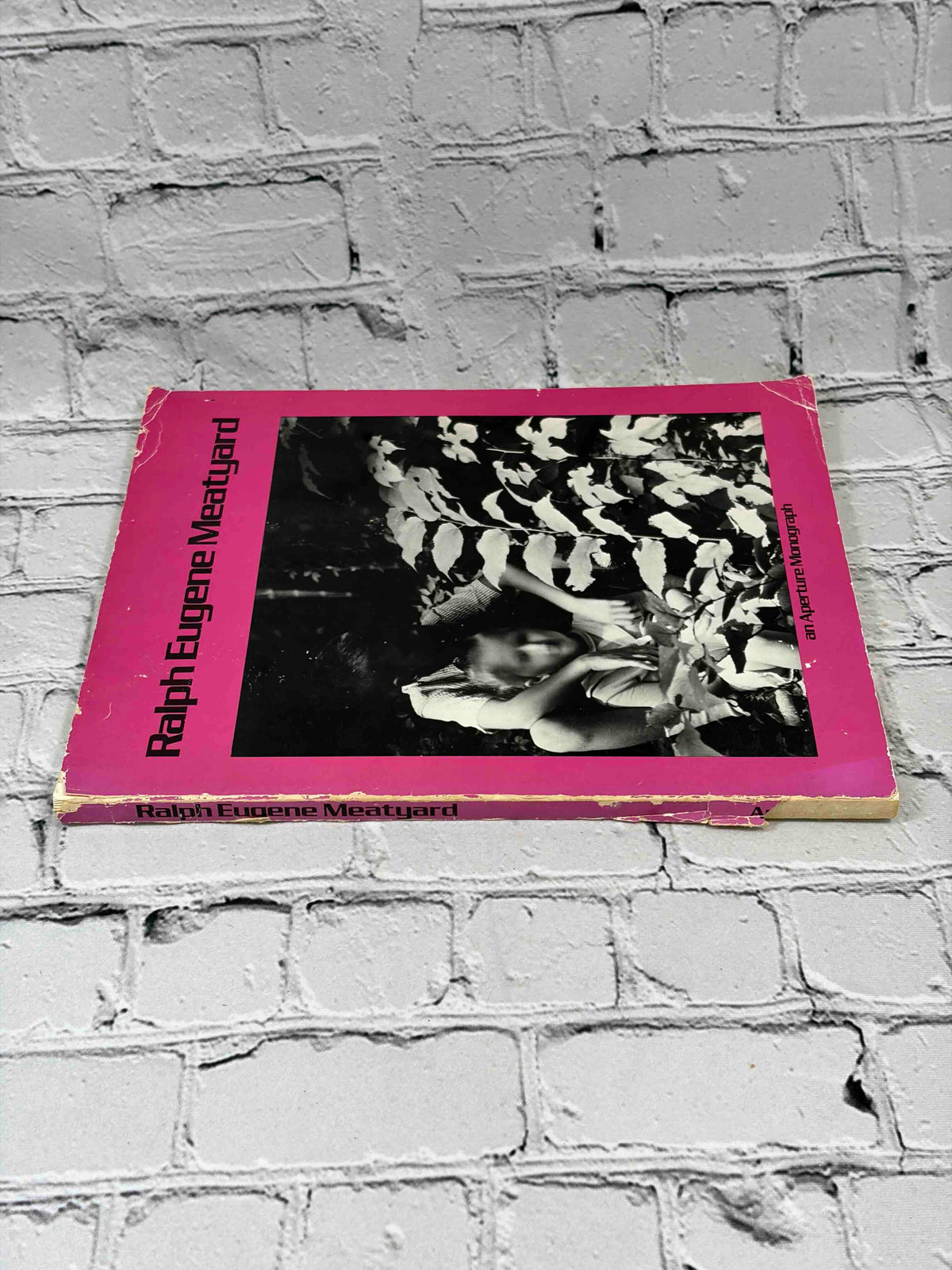 Ralph Eugene Meatyard: An Aperture Monograph, 1974 Aperture paperback - spine