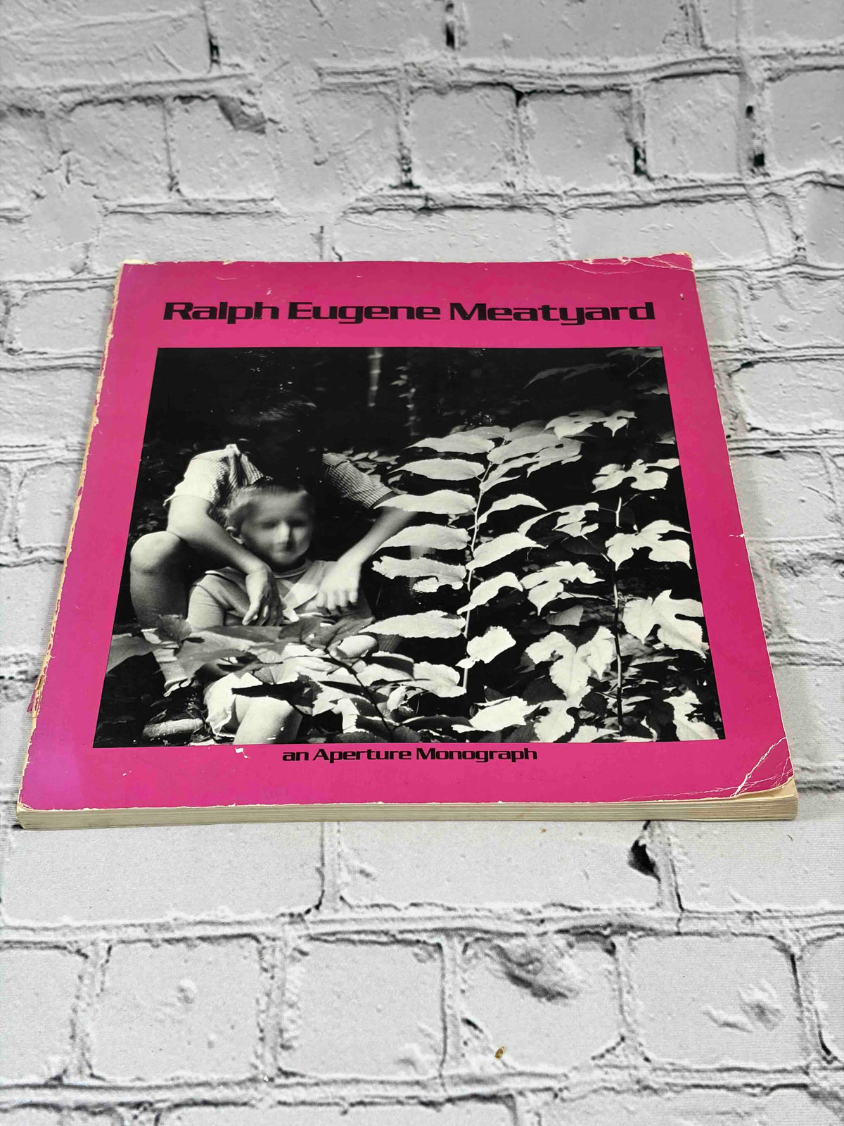 Ralph Eugene Meatyard: An Aperture Monograph, 1974 Aperture paperback - front cover angled showing edge wear