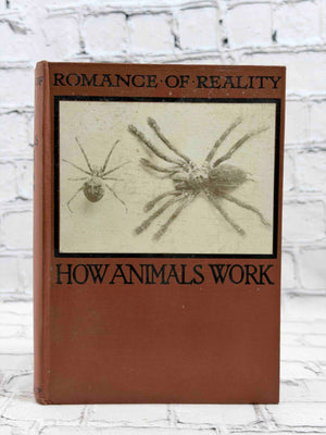 How Animals Work