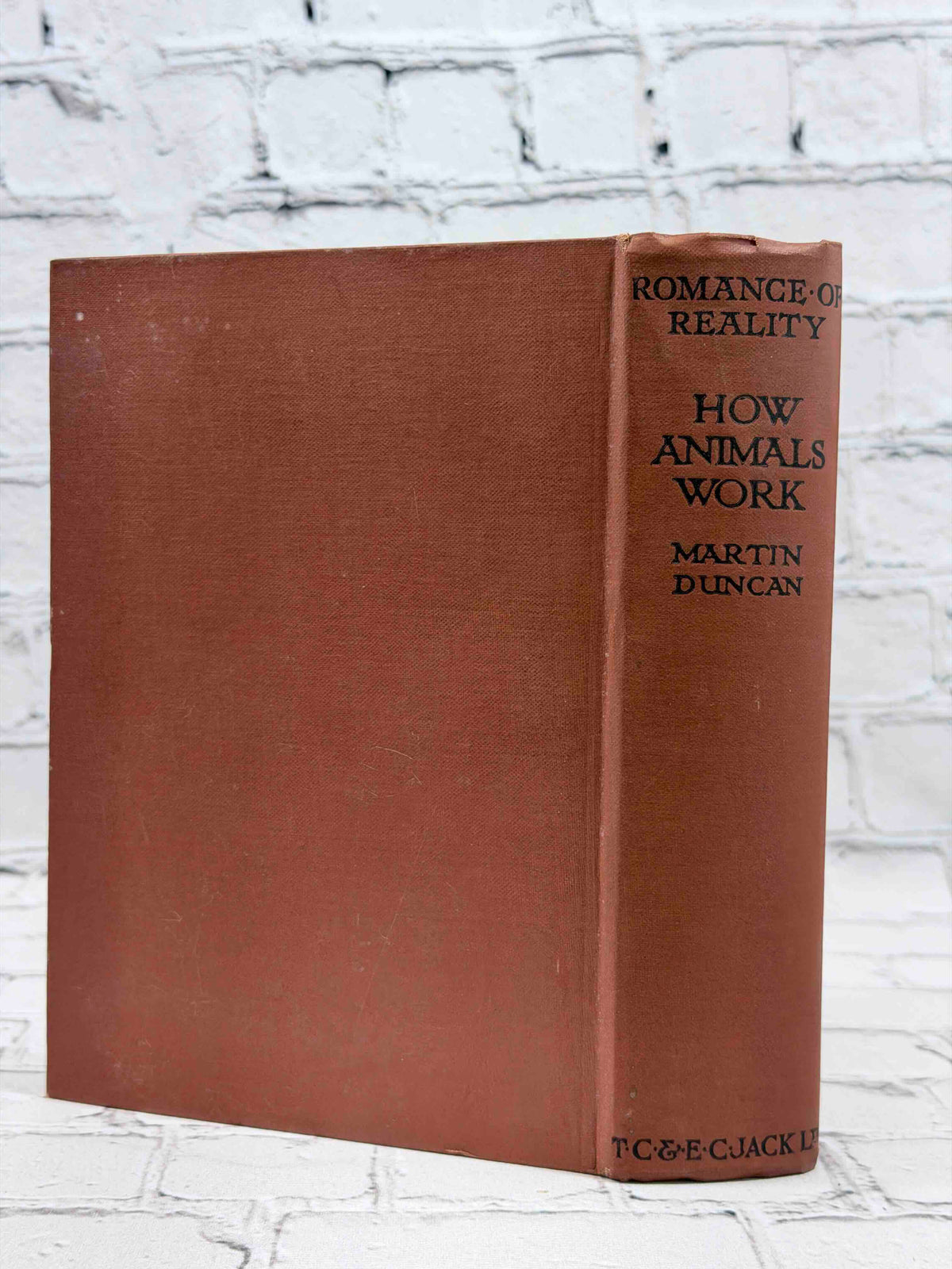 How Animals Work by F. Martin Duncan, 1926 T. C. & E. C. Jack hardcover - spine
