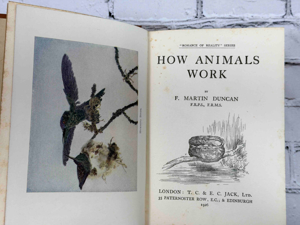 How Animals Work by F. Martin Duncan, 1926 T. C. & E. C. Jack hardcover - color frontispiece and title page