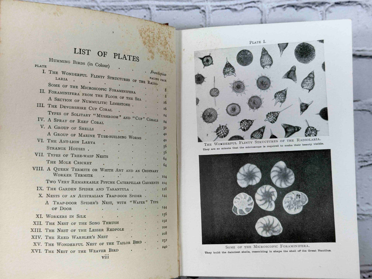 How Animals Work by F. Martin Duncan, 1926 T. C. & E. C. Jack hardcover - list of plates