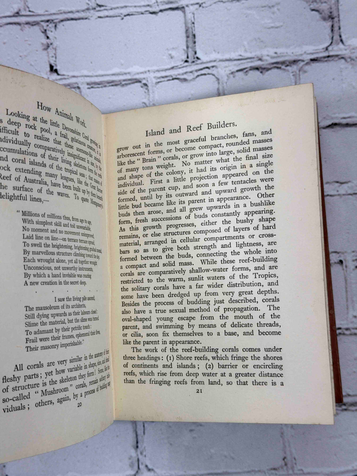 How Animals Work by F. Martin Duncan, 1926 T. C. & E. C. Jack hardcover - sample pages